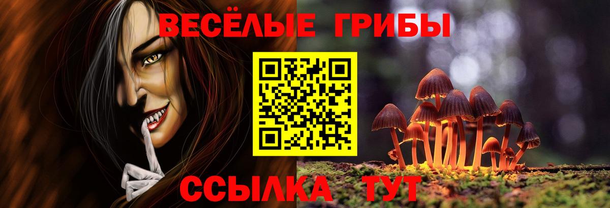 Галлюциногенные грибы Cubensis Артёмовский