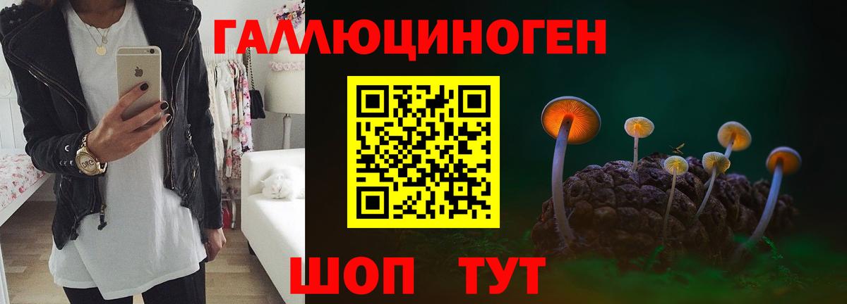 Артёмовский  Галлюциногенные грибы мухоморы  как найти наркотики  Вход с VPN 